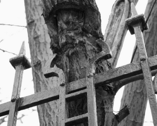 arbre2