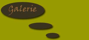 galerie